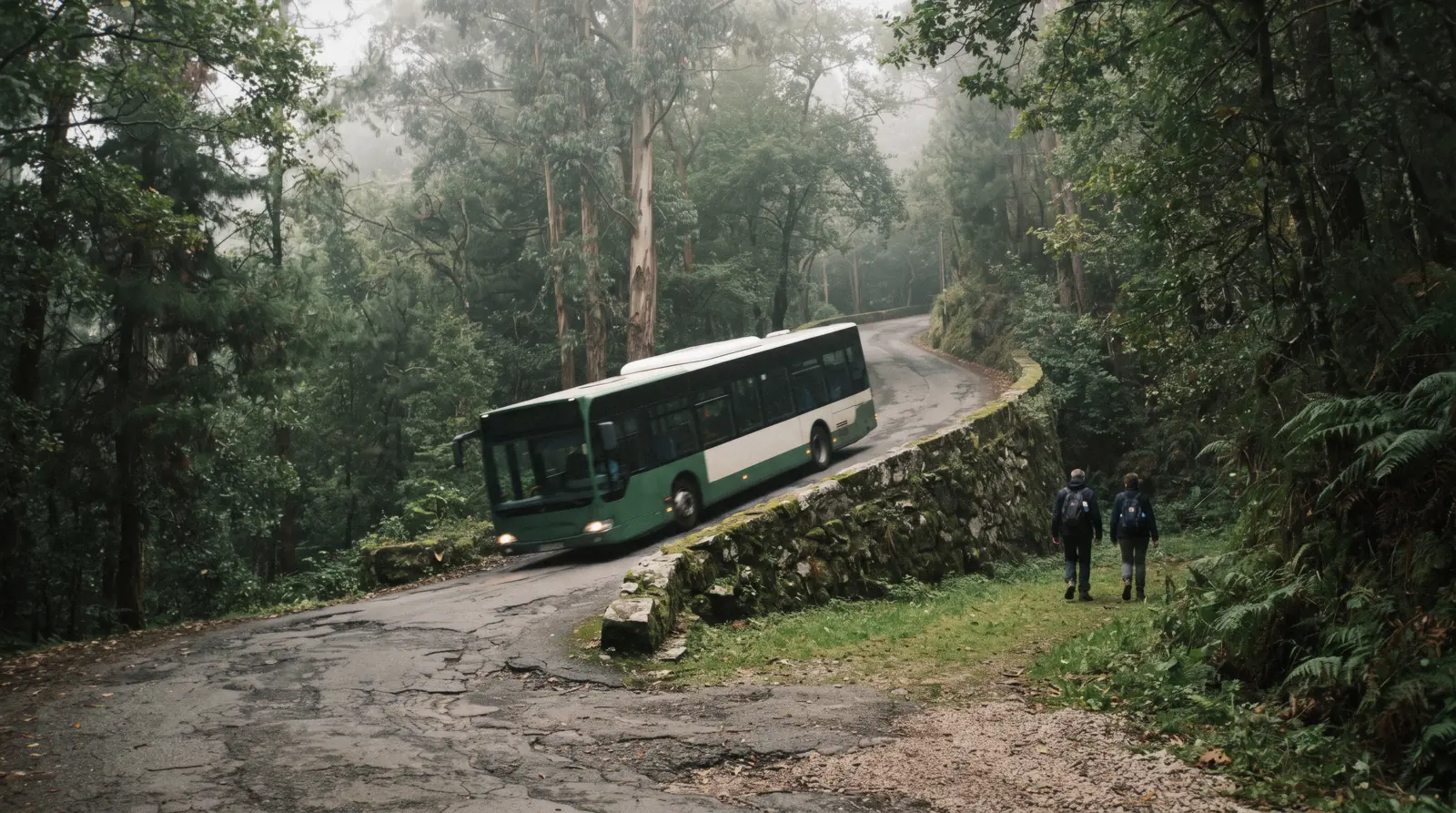 A Sintra bus 434 climbing the forested road towards Pena Palace above the town of Sintra, Portugal